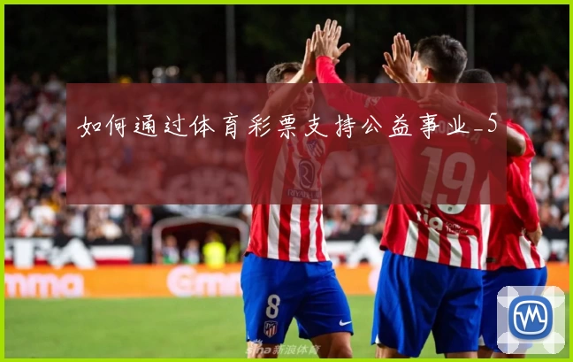 如何通过体育彩票支持公益事业_5