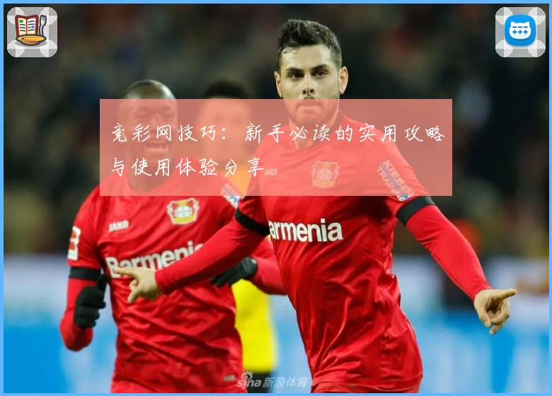 竞彩网技巧：新手必读的实用攻略与使用体验分享