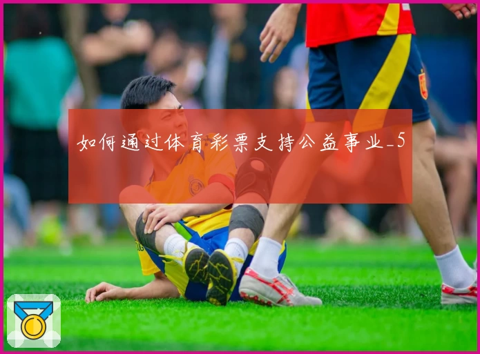 如何通过体育彩票支持公益事业_5
