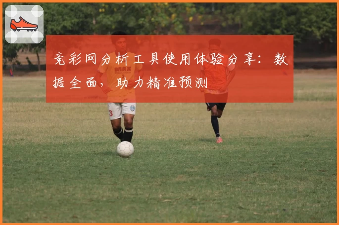 竞彩网分析工具使用体验分享：数据全面，助力精准预测